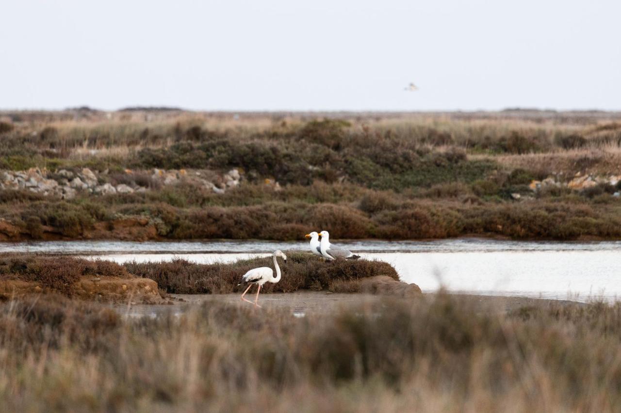 Vvf Narbonne-Plage Saint-Pierre-La-Mer Fleury  Zewnętrze zdjęcie